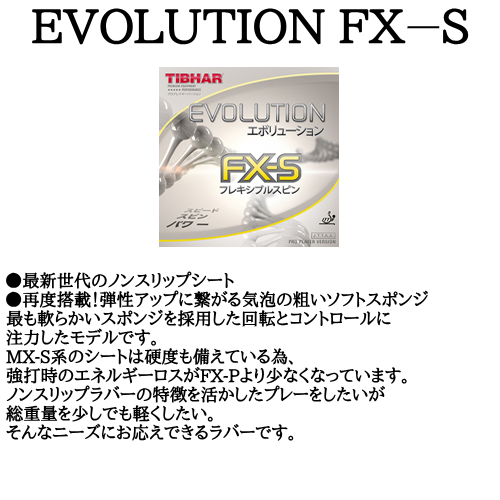 エボリューションFX-S