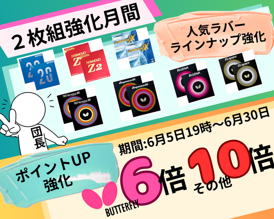 2枚組強化