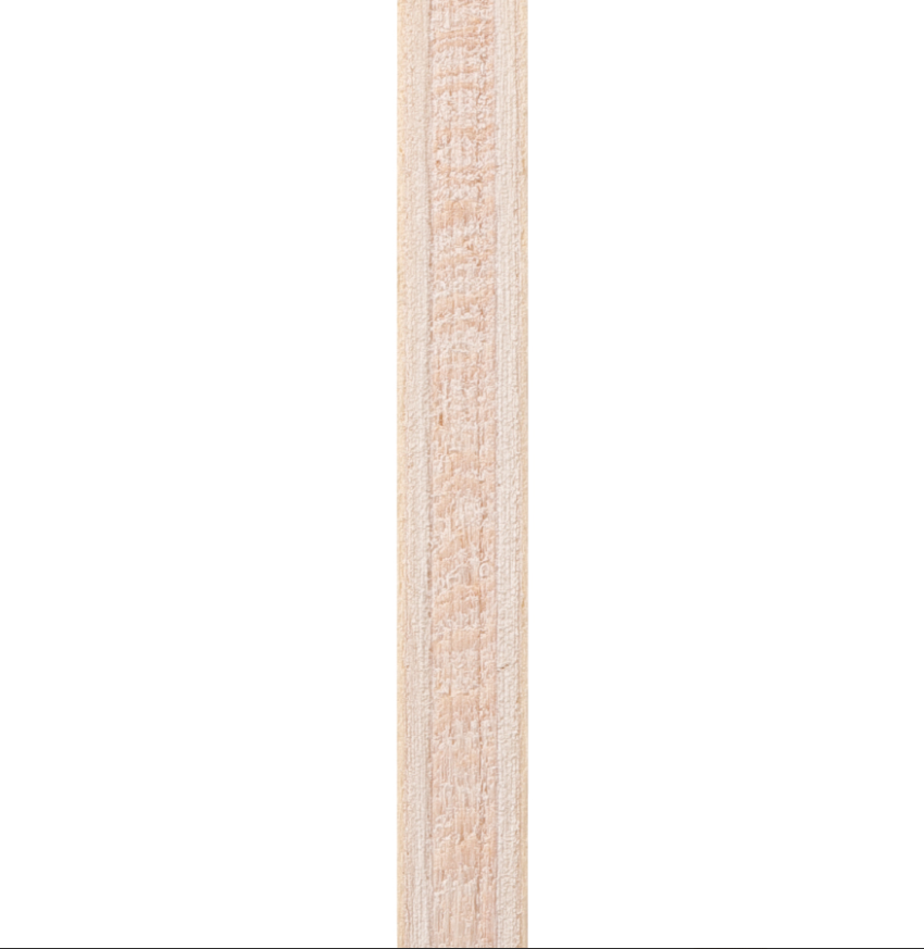 ★ニッタク予約商品★26年2月下旬頃発売★スタリア